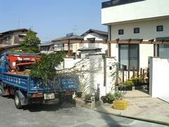 植木職人の内藤さんによる植え込みの開始です。